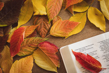 Open bible with autumn leaves on a wood background with copy space