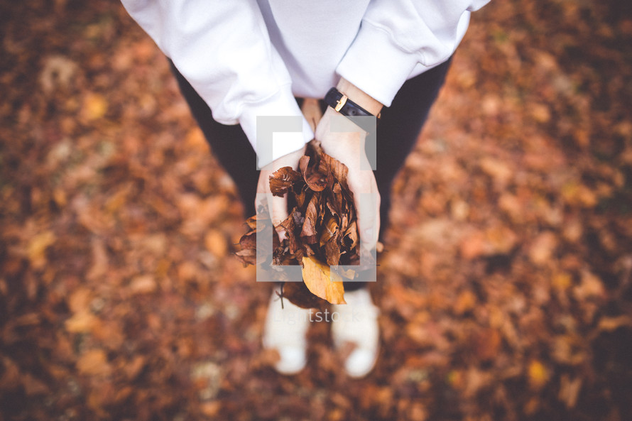 woman holding fall leaves 