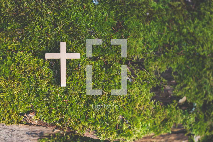 cross on moss 