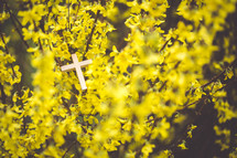 cross in yellow flowers 