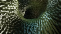 Smooth Snake Reptile Skin Texture Tunnel, Seamless Looped Visuals	