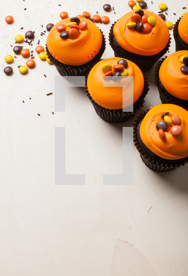 fall cupcakes on a white background 