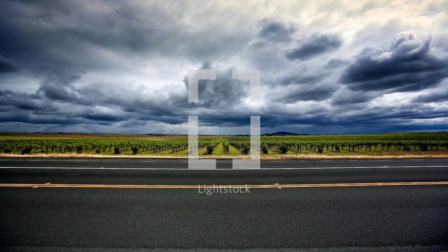 A photo of a vineyard under blue clouds with a highway in the forefront.