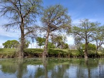 trees lining the Gudalupe River in Kerrville, Texas