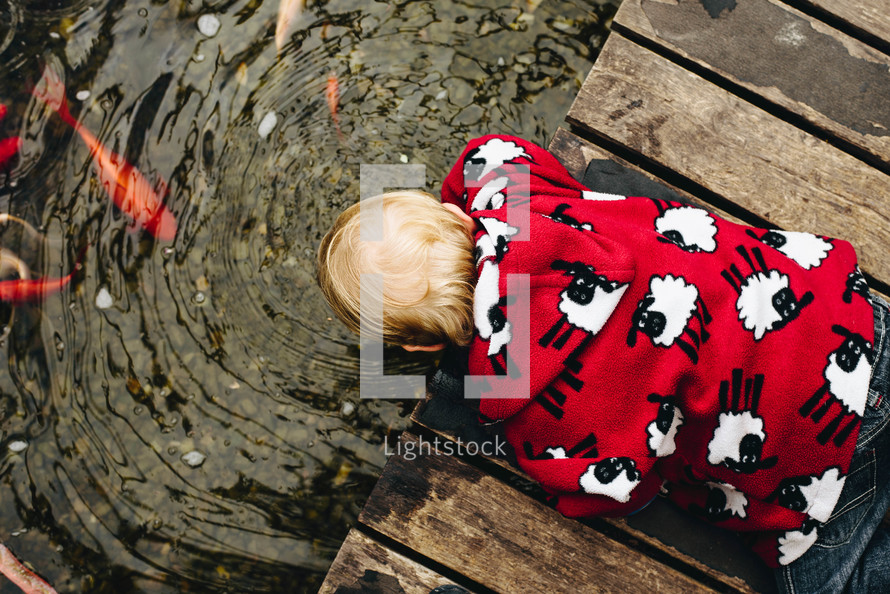a toddler looking into a koi pond 