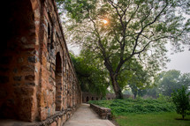 brick wall, walkway, and garden in Delhi, India 