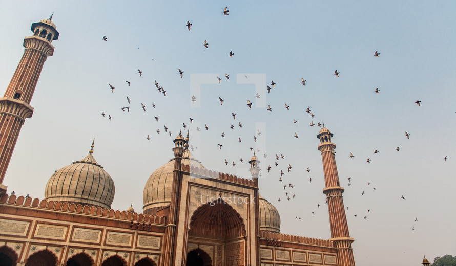 pigeons above a mosque in Delhi, India 