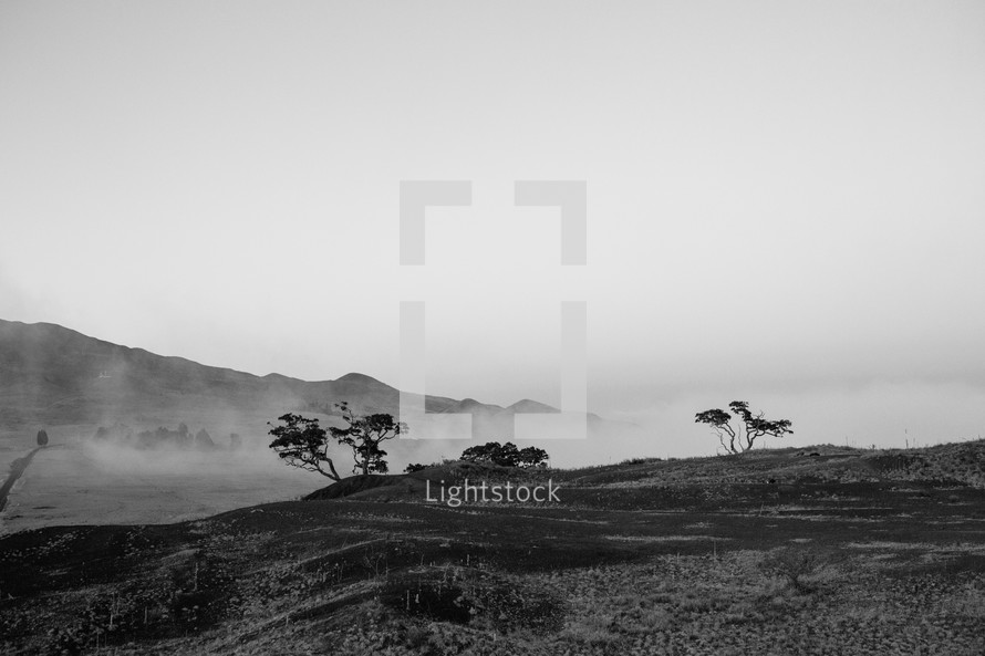 rising fog over hilly landscape 