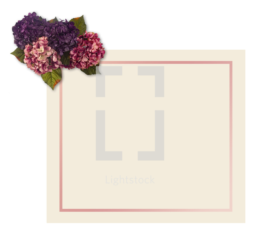 hydrangea flowers and white paper 