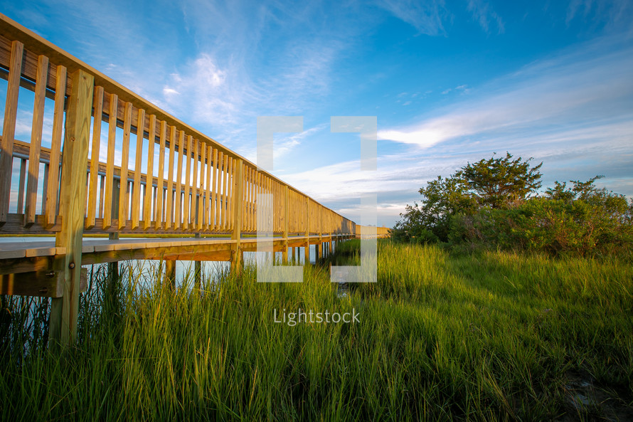 Wooden boardwalk over marsh grass along the shore with bush and tree
