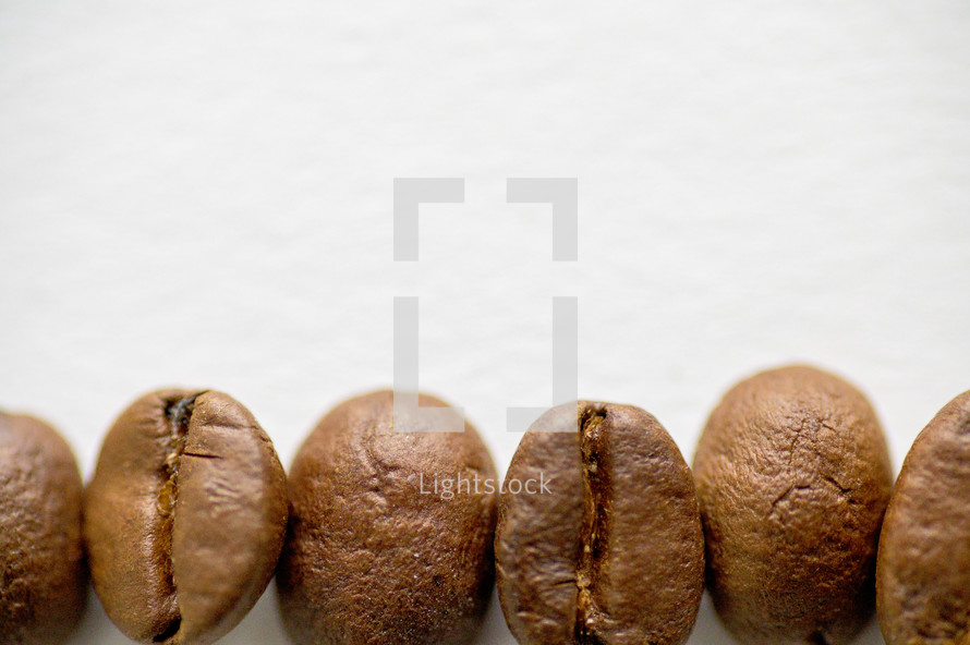 border of coffee beans 