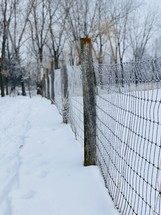  fence in snow 
