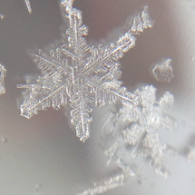 macro snowflakes 