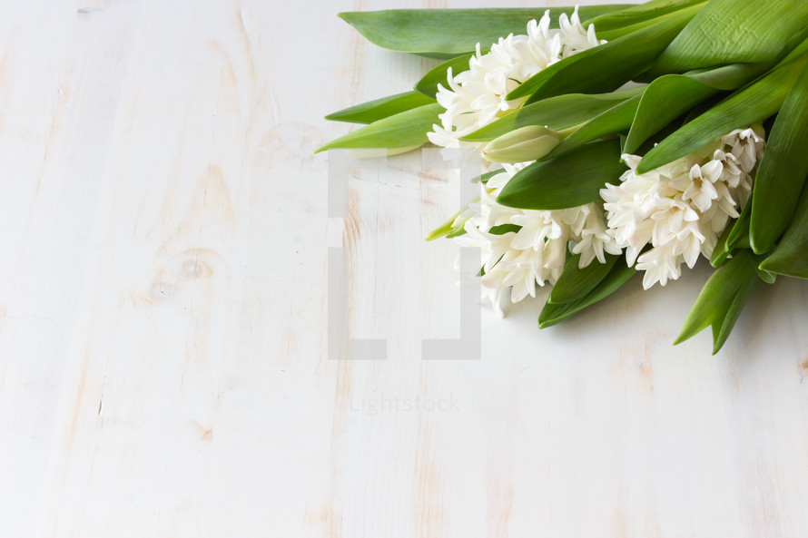 White hyacinth and tulips 