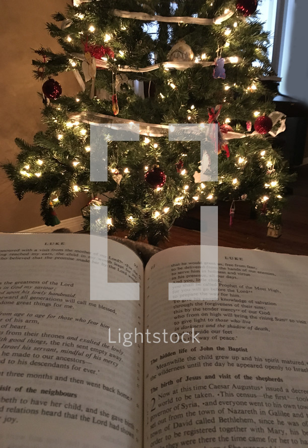 Christmas scripture in an open Bible in front of a Christmas tree