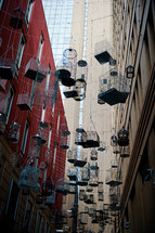 hanging bird cages in an alley