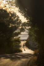 A woman is walking on a lonely road into the sunset in Corfu, Greece surrounded by Pinewood trees. 