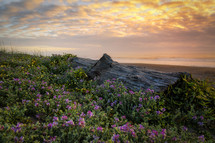 dramatic sunset seascape at a northern California beach. USA.