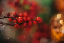 red berries at Christmas 