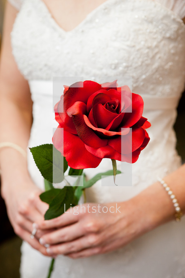 torso of a bride holding a red rose 