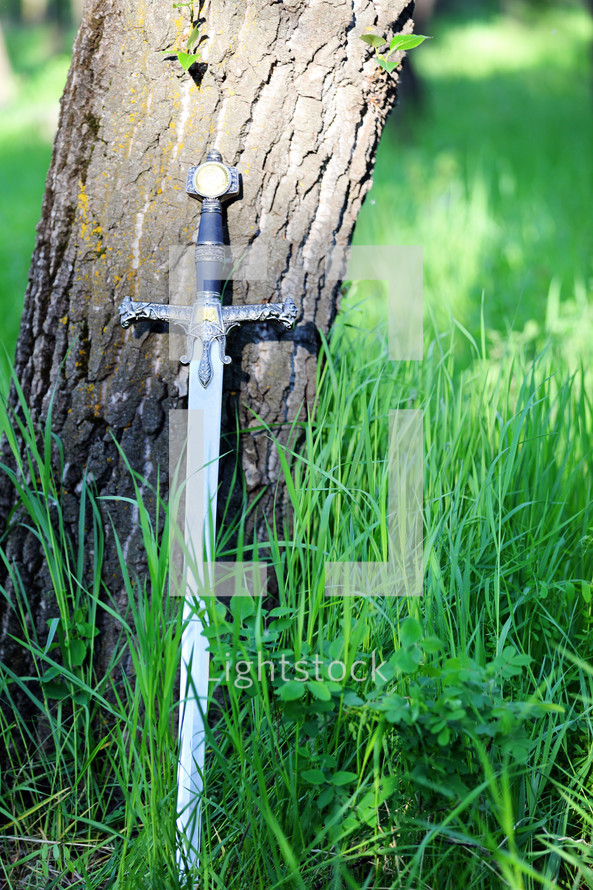 sword against a tree 