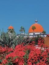 red flowers and cactus with a view of orange domes with crosses 
