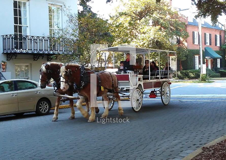 Charleston South Carolina by horse buggy