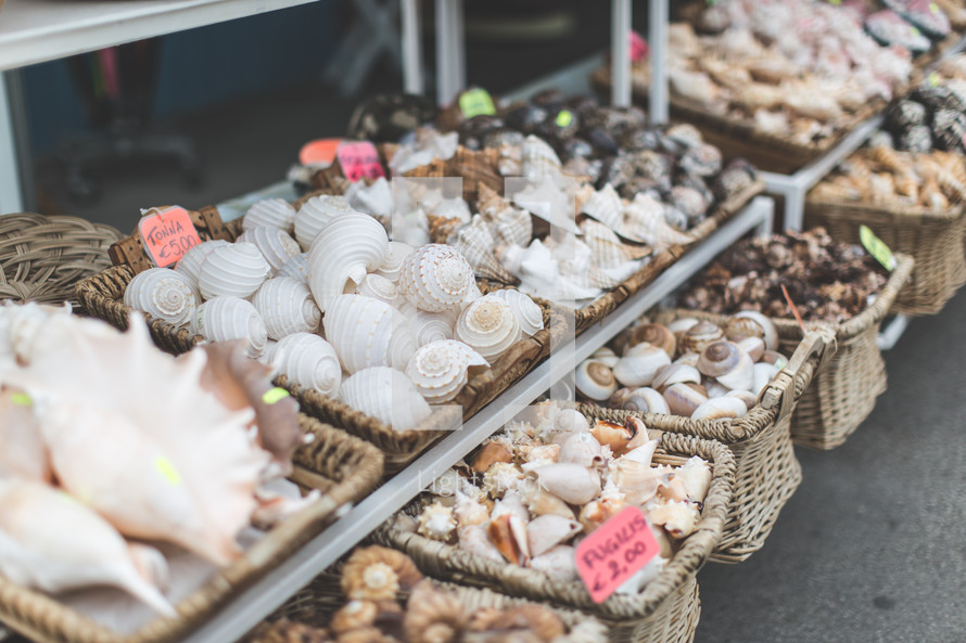 Baskets full of seashells at a market.