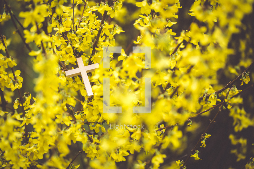 cross in yellow flowers 