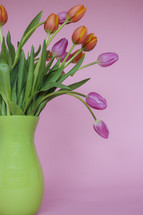 pink background and tulips in a vase 
