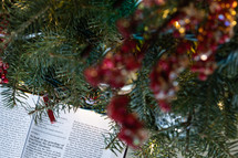 Bible pages and Christmas tree branches 