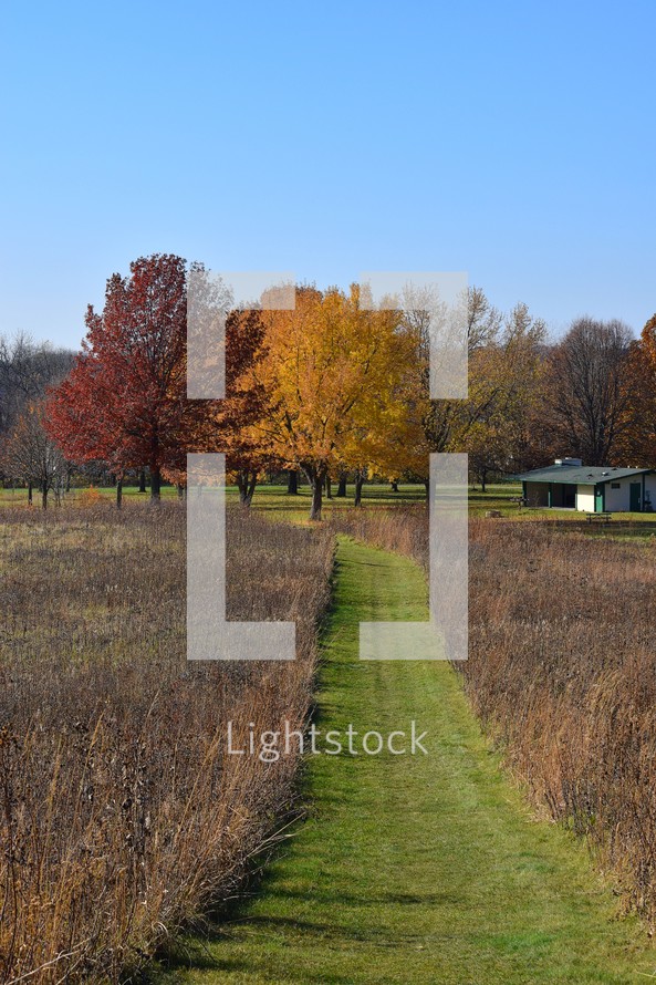 Grass path in field with autumn trees