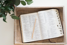 open Bible in a tray on a table 
