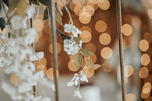 bokeh twinkling lights and white flowers 