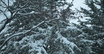 Slow motion Christmas snow background. Snowflakes, snow flakes falling in slow motion during winter snow storm.
