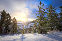Snowy sunny winter mountain landscape scene with evergreen trees