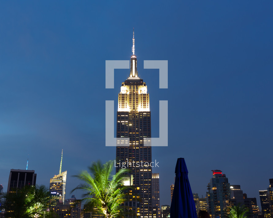 Empire State Building and palm tree at night 
