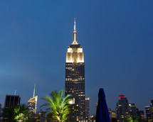 Empire State Building and palm tree at night 