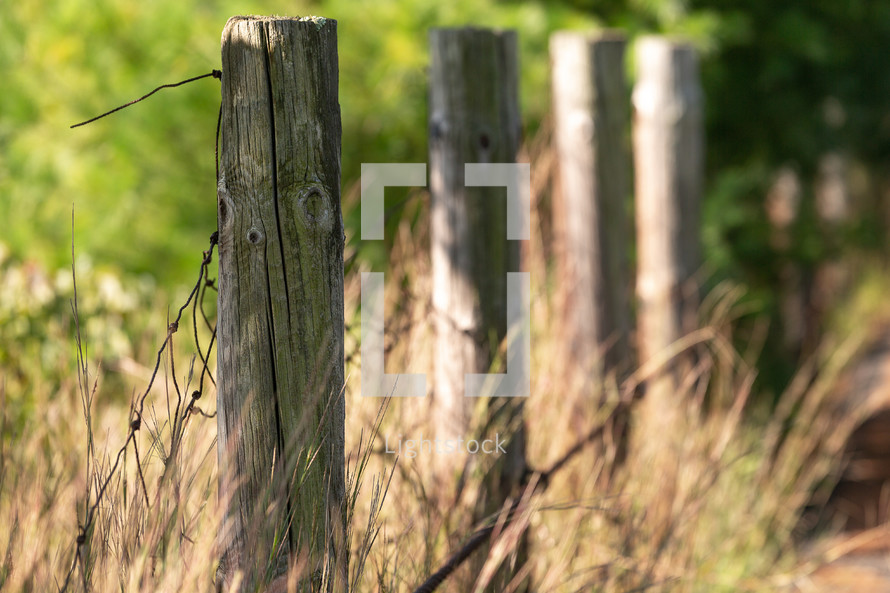 old rusty wire fence and fence posts 