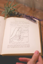 sprig of lavender on a pages of a book 