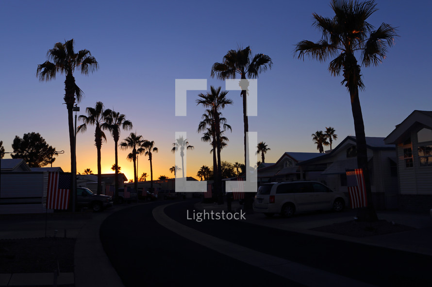 palm tree lined street at sunset with flags