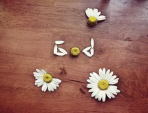 God in daisy petals 