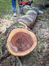 a man sawing firewood with a chain saw 