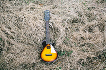 guitar lying in dead grass