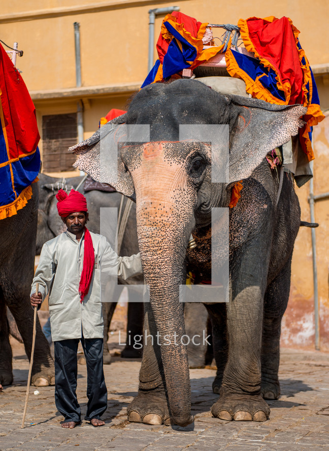 a man with an elephant in India 