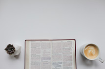 an open Bible, mug, and succulent plant 
