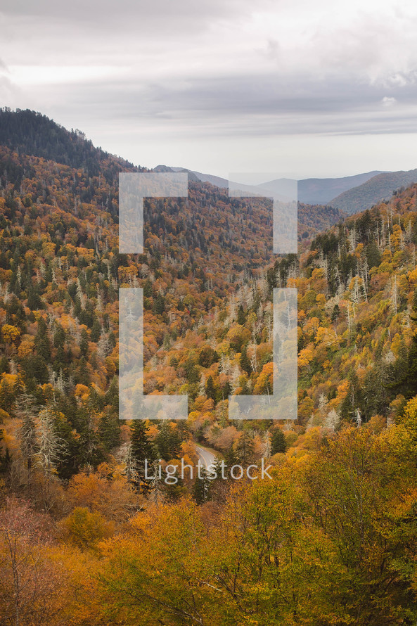 fall mountain valley scene 