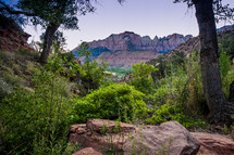 Watchman Trail in Zion National Park.