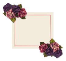 hydrangeas and pink and white paper 