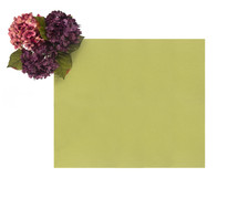 hydrangea flowers and green paper 